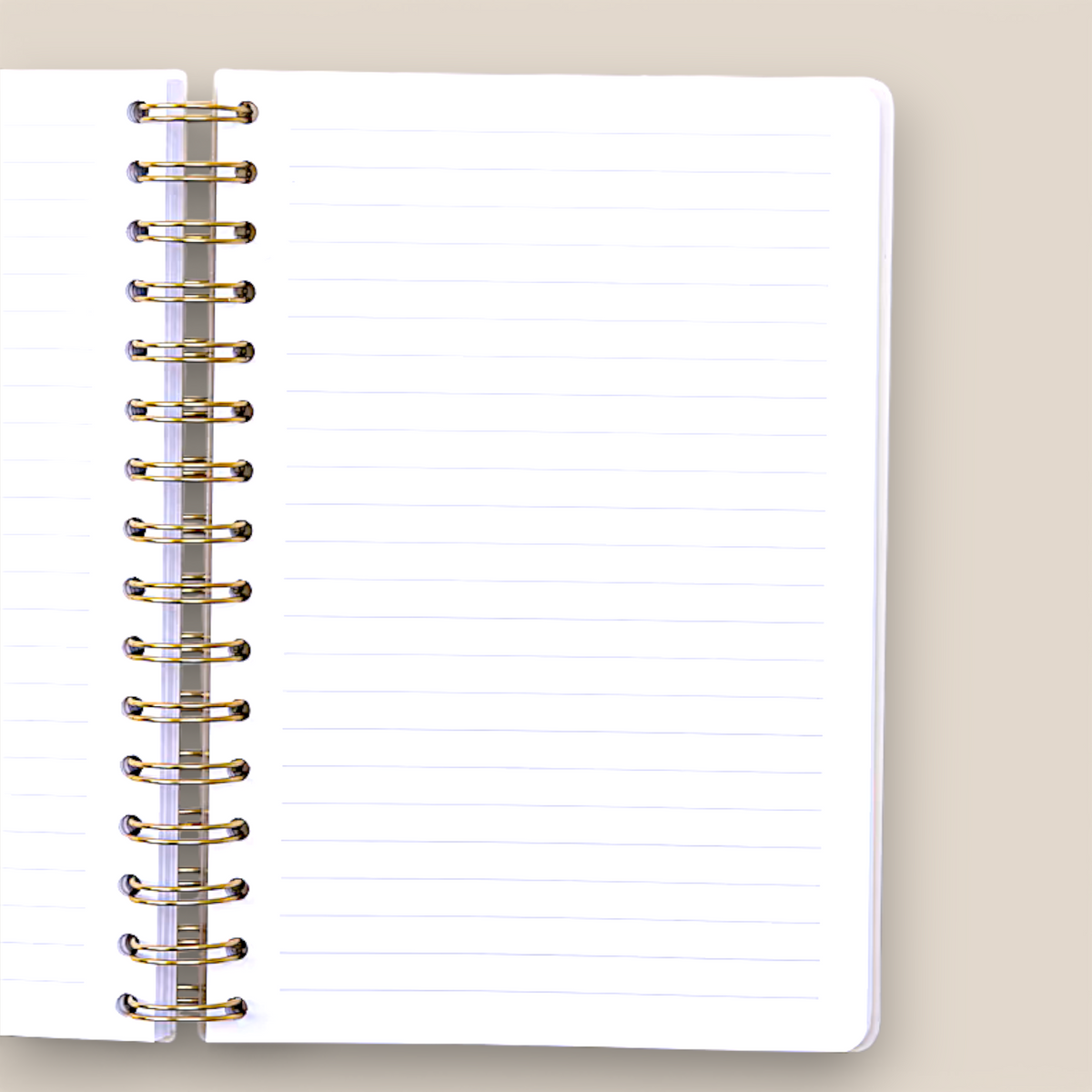 Carnet de notes à reliure spirale – Eucalyptus