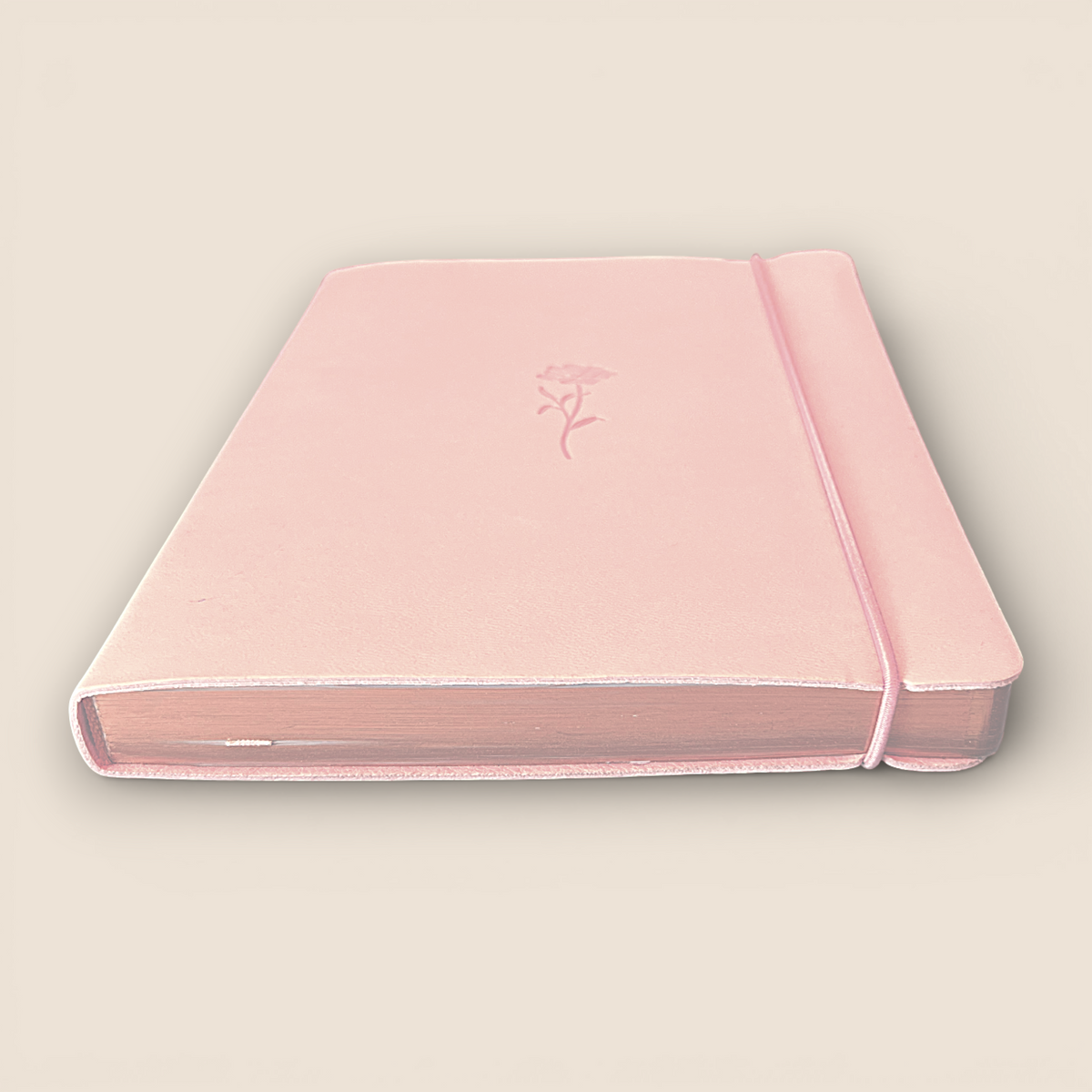 Carnet souple rose poudré – Écriture délicate & reflets dorés